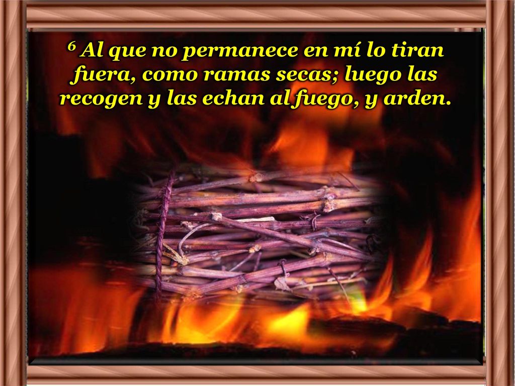 6 Al que no permanece en mí lo tiran fuera, como ramas secas; luego las recogen y las echan al fuego, y arden.