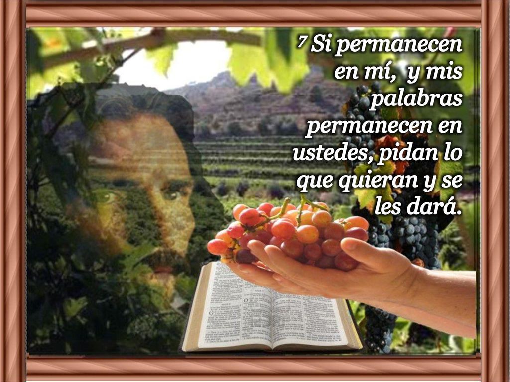 7 Si permanecen en mí, y mis palabras permanecen en ustedes, pidan lo que quieran y se les dará.