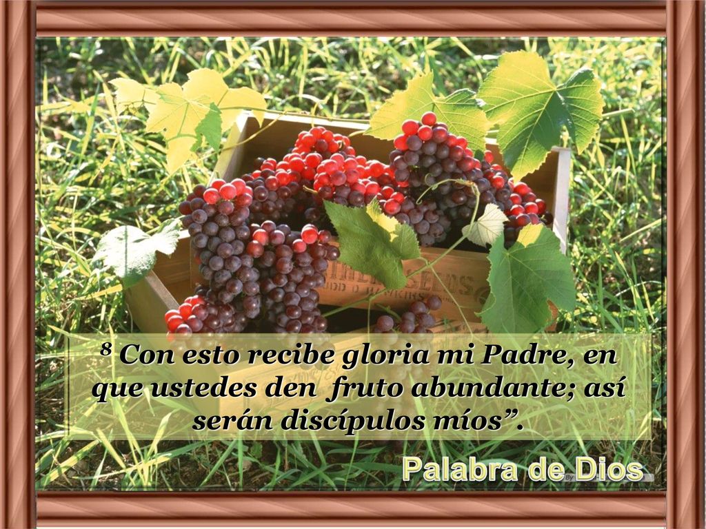 8 Con esto recibe gloria mi Padre, en que ustedes den fruto abundante; así serán discípulos míos .