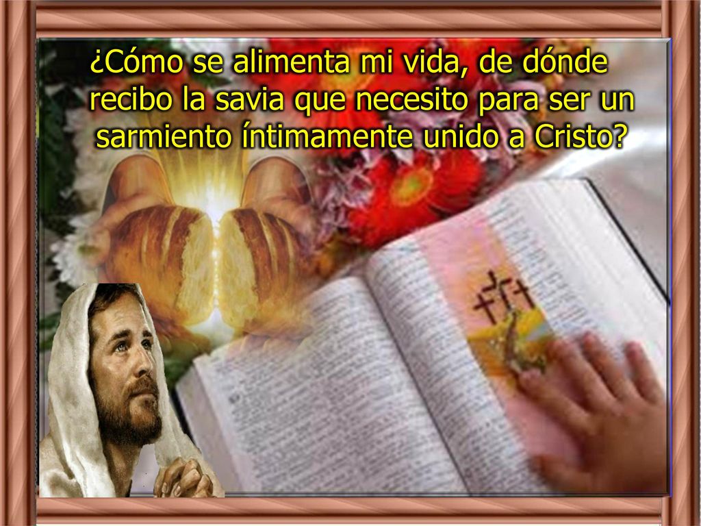 ¿Cómo se alimenta mi vida, de dónde recibo la savia que necesito para ser un sarmiento íntimamente unido a Cristo