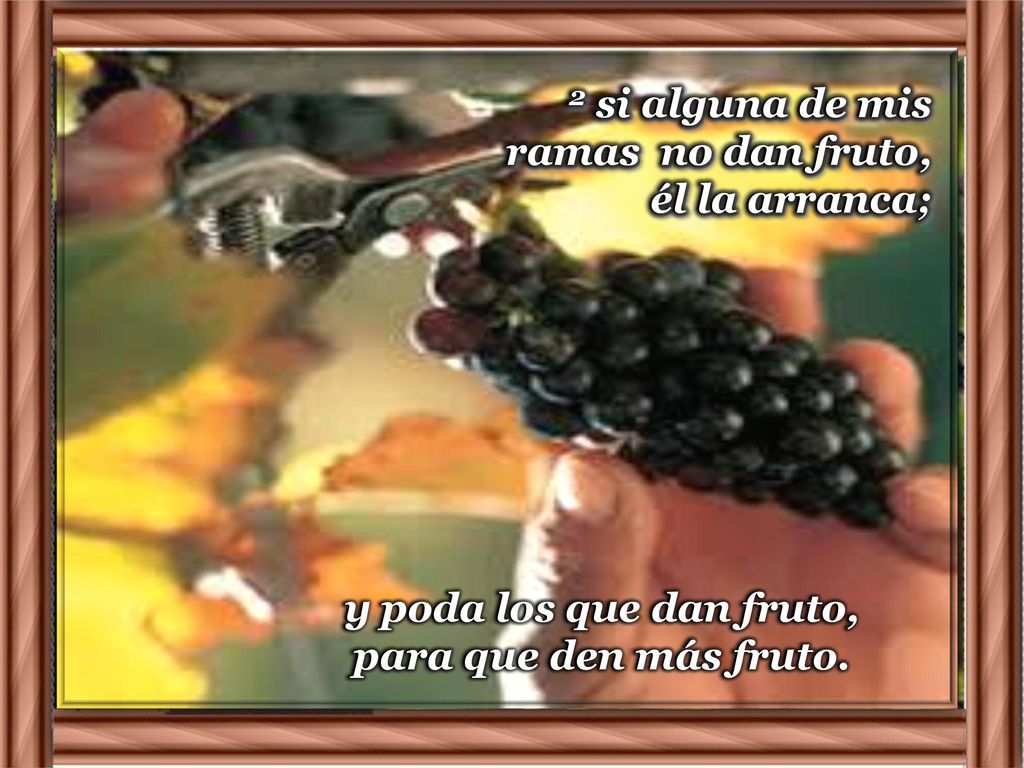 y poda los que dan fruto, para que den más fruto.