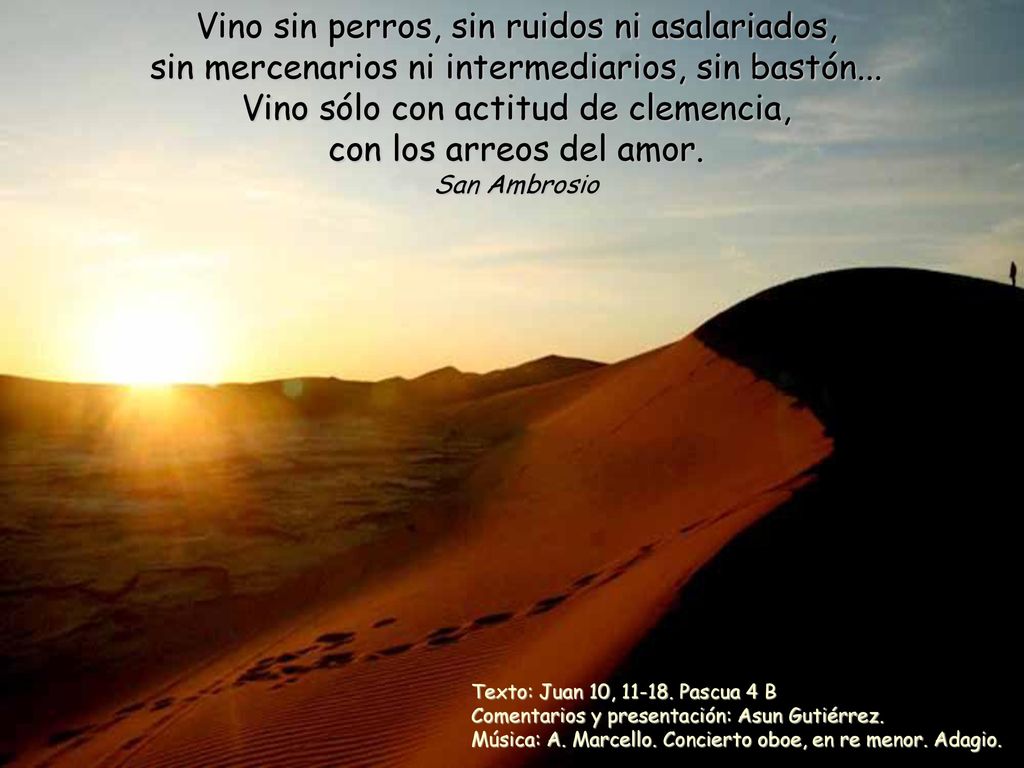 Vino sin perros, sin ruidos ni asalariados, sin mercenarios ni intermediarios, sin bastón... Vino sólo con actitud de clemencia, con los arreos del amor. San Ambrosio
