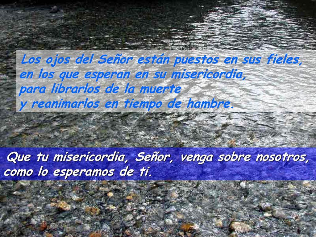 Los ojos del Señor están puestos en sus fieles, en los que esperan en su misericordia, para librarlos de la muerte y reanimarlos en tiempo de hambre.