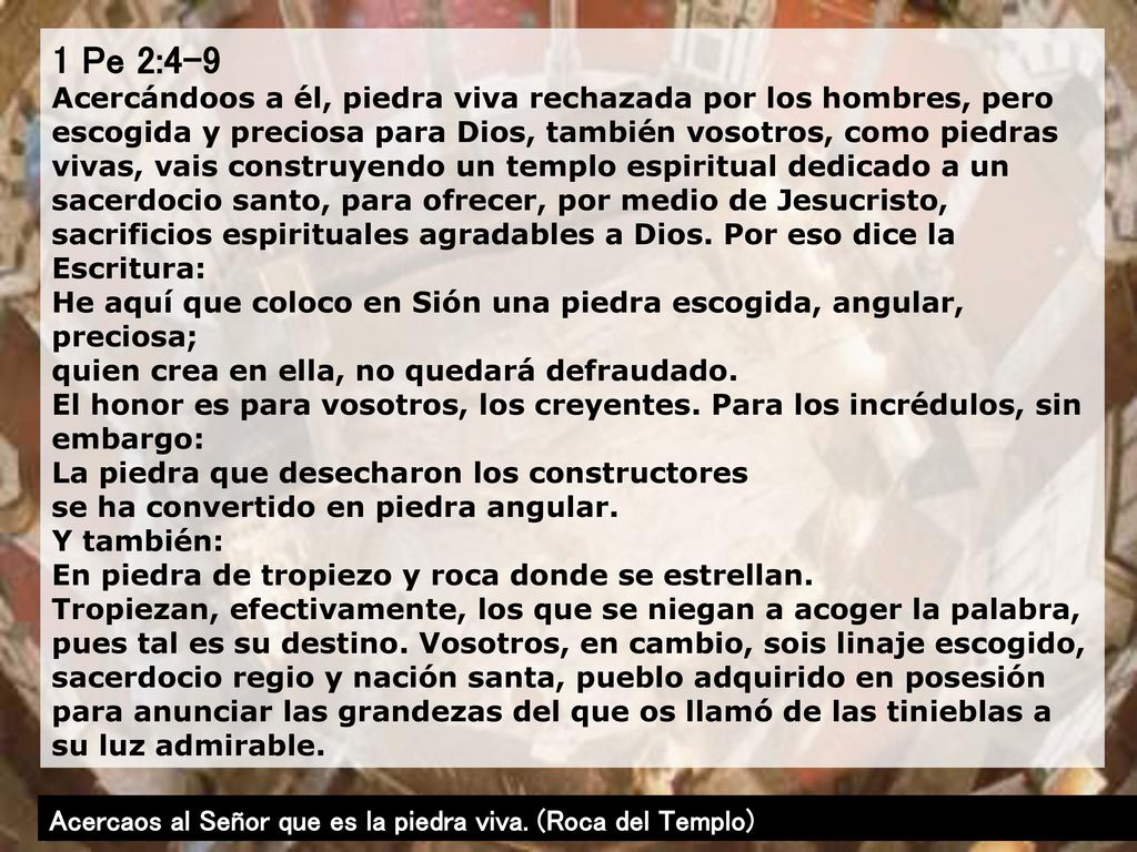 1 Pe 2:4-9 Acercándoos a él, piedra viva rechazada por los hombres, pero escogida y preciosa para Dios, también vosotros, como piedras vivas, vais construyendo un templo espiritual dedicado a un sacerdocio santo, para ofrecer, por medio de Jesucristo, sacrificios espirituales agradables a Dios. Por eso dice la Escritura: He aquí que coloco en Sión una piedra escogida, angular, preciosa; quien crea en ella, no quedará defraudado. El honor es para vosotros, los creyentes. Para los incrédulos, sin embargo: La piedra que desecharon los constructores se ha convertido en piedra angular. Y también:
