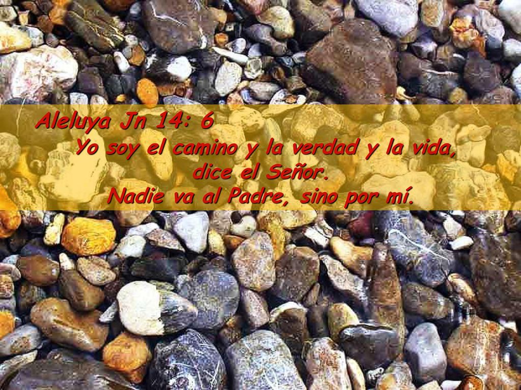 Yo soy el camino y la verdad y la vida, dice el Señor.