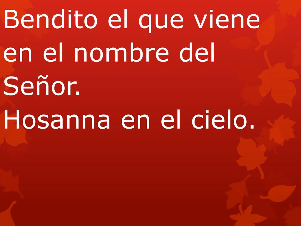 Bendito el que viene en el nombre del Señor. Hosanna en el cielo.