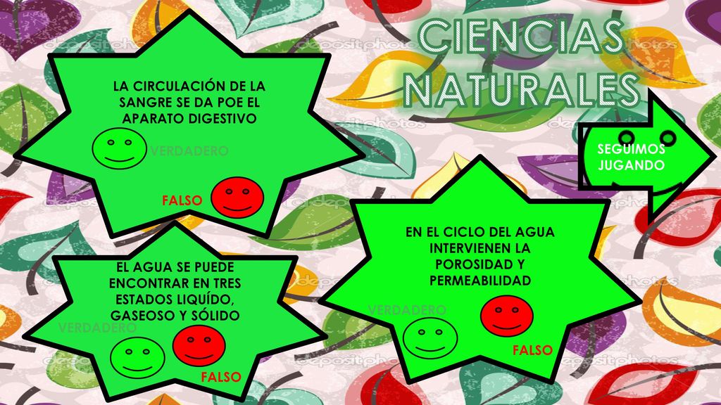 CIENCIAS NATURALES. LA CIRCULACIÓN DE LA SANGRE SE DA POE EL APARATO DIGESTIVO. VERDADERO. SEGUIMOS JUGANDO.