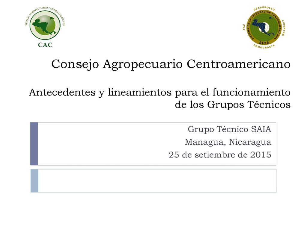 Grupo Técnico SAIA Managua, Nicaragua 25 de setiembre de 2015