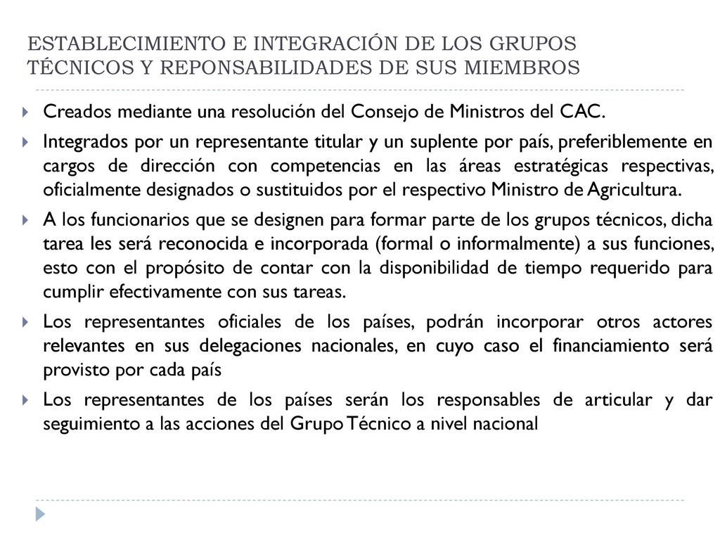 ESTABLECIMIENTO E INTEGRACIÓN DE LOS GRUPOS TÉCNICOS Y REPONSABILIDADES DE SUS MIEMBROS