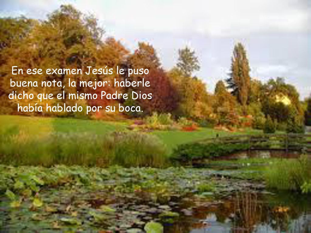 En ese examen Jesús le puso buena nota, la mejor: haberle dicho que el mismo Padre Dios había hablado por su boca.