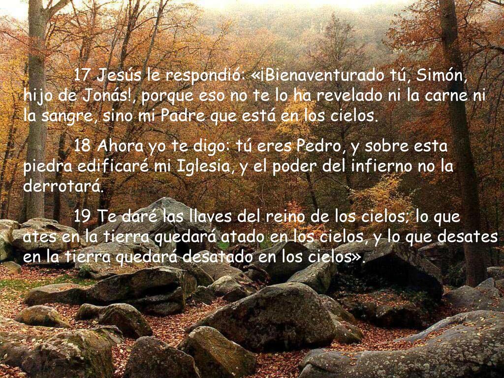 17 Jesús le respondió: «¡Bienaventurado tú, Simón, hijo de Jonás