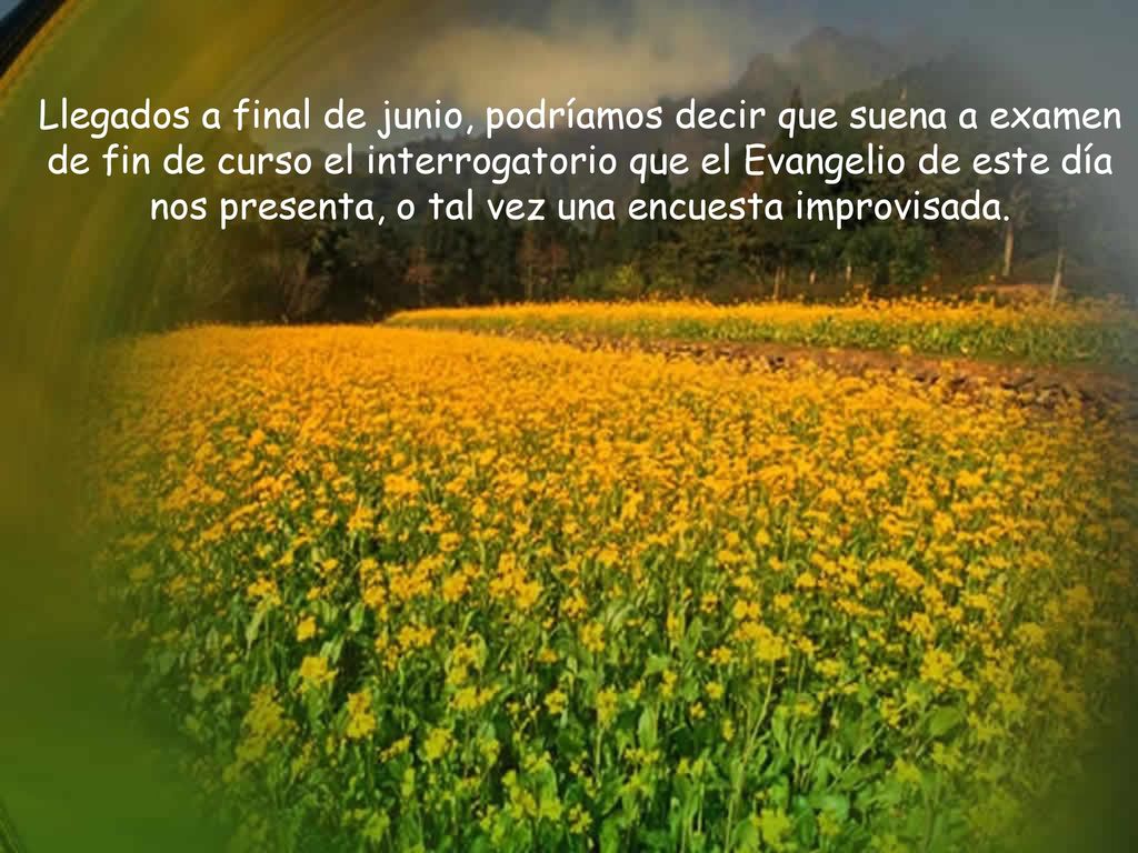 Llegados a final de junio, podríamos decir que suena a examen de fin de curso el interrogatorio que el Evangelio de este día nos presenta, o tal vez una encuesta improvisada.