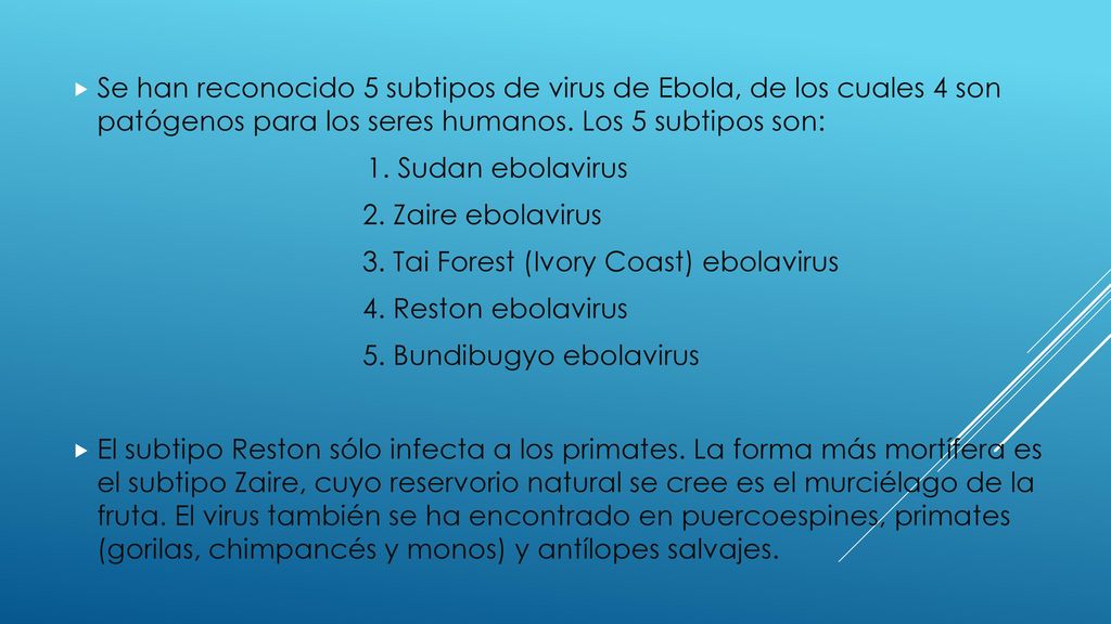Se han reconocido 5 subtipos de virus de Ebola, de los cuales 4 son patógenos para los seres humanos. Los 5 subtipos son: