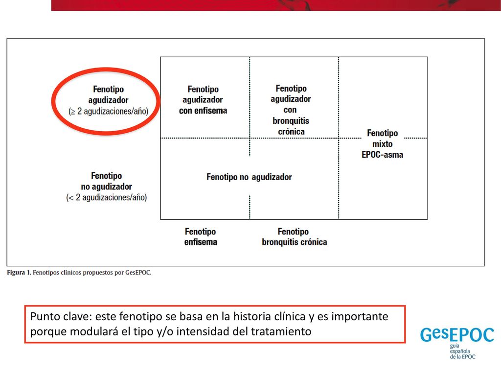 Fenotipo agudizador (≥ 2 agudizaciones/año) < 2 agudizaciones / año. (No agudizador) Fenotipo. enfisema.