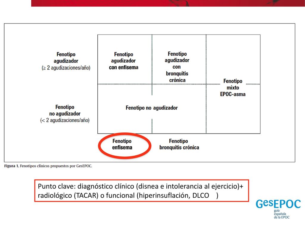 Fenotipo agudizador (≥ 2 agudizaciones/año) < 2 agudizaciones / año. (No agudizador) Fenotipo. enfisema.