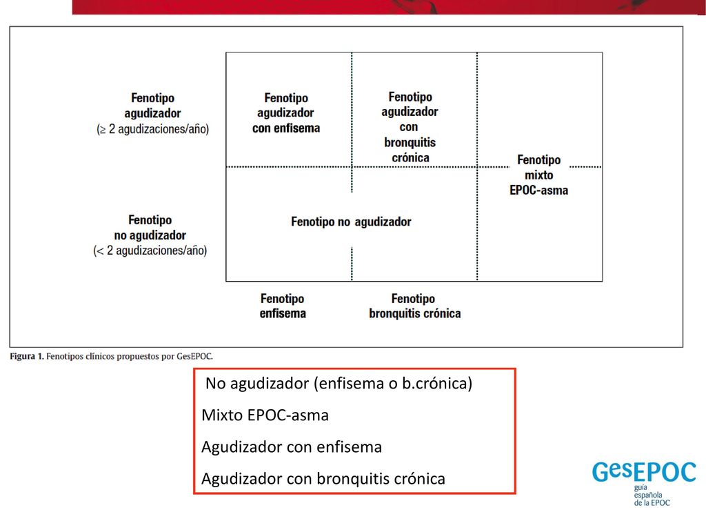 (C) (D) (B) (A) No agudizador (enfisema o b.crónica) Mixto EPOC-asma