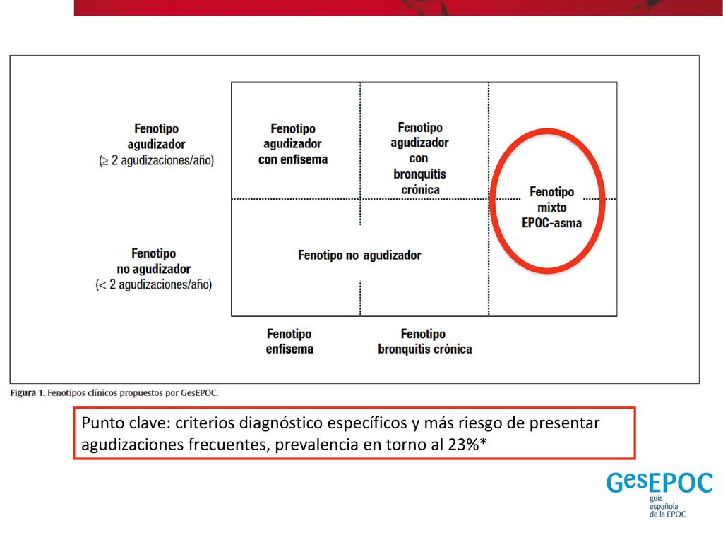 Fenotipo agudizador (≥ 2 agudizaciones/año) < 2 agudizaciones / año. (No agudizador) Fenotipo. enfisema.