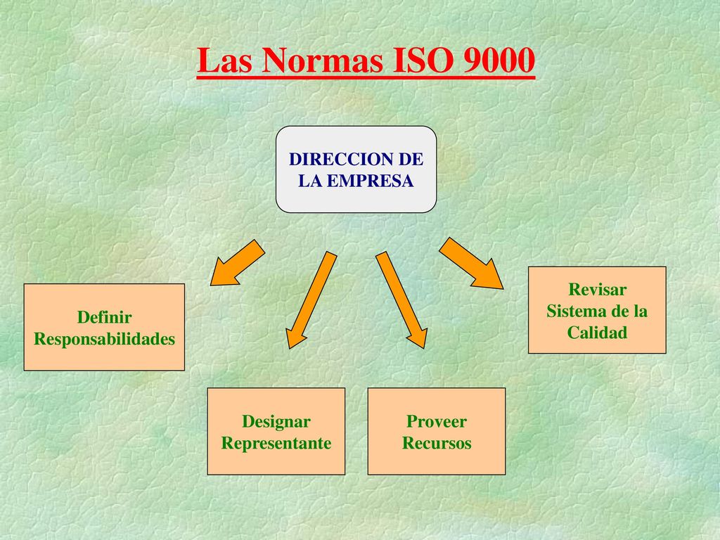 Las Normas ISO 9000 DIRECCION DE LA EMPRESA Definir Responsabilidades
