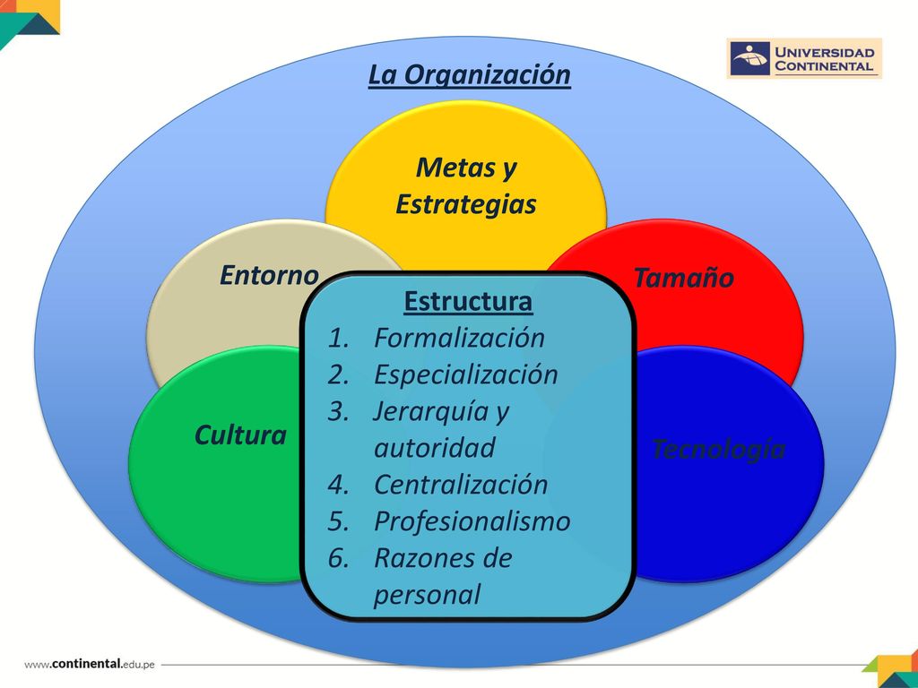 Estructura Formalización. Especialización. Jerarquía y autoridad. Centralización. Profesionalismo.