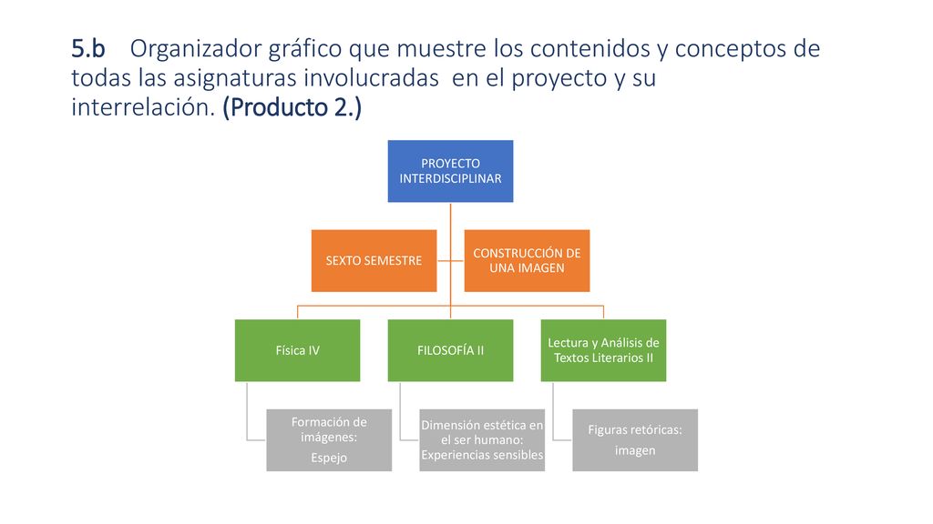 5.b Organizador gráfico que muestre los contenidos y conceptos de todas las asignaturas involucradas en el proyecto y su interrelación. (Producto 2.)