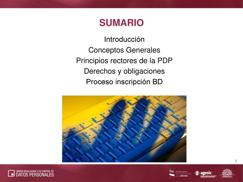 SUMARIO Introducción Conceptos Generales Principios rectores de la PDP