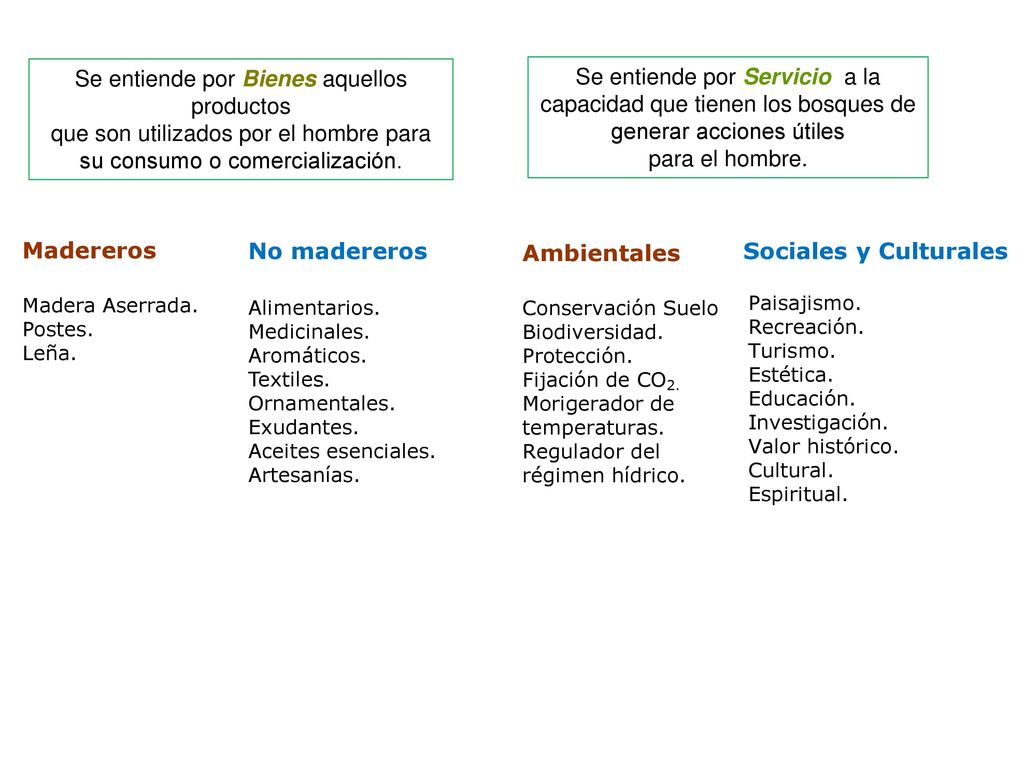Se entiende por Bienes aquellos productos