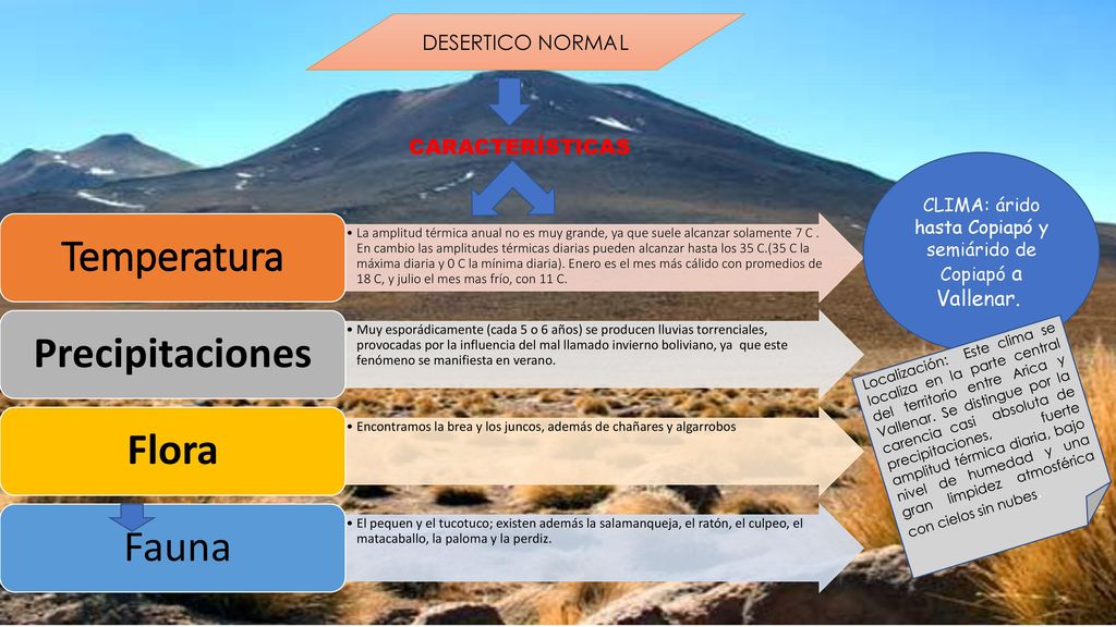 CLIMA: árido hasta Copiapó y semiárido de Copiapó a Vallenar.