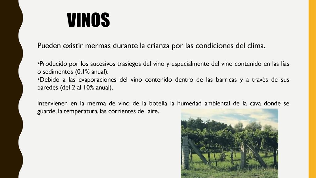 VINOS Pueden existir mermas durante la crianza por las condiciones del clima.