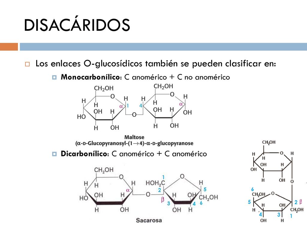 DISACÁRIDOS Los enlaces O-glucosídicos también se pueden clasificar en: Monocarbonílico: C anomérico + C no anomérico.