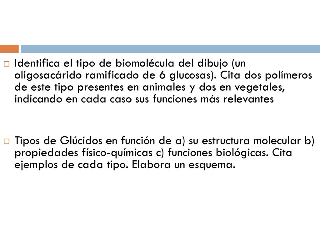 Identifica el tipo de biomolécula del dibujo (un oligosacárido ramificado de 6 glucosas). Cita dos polímeros de este tipo presentes en animales y dos en vegetales, indicando en cada caso sus funciones más relevantes