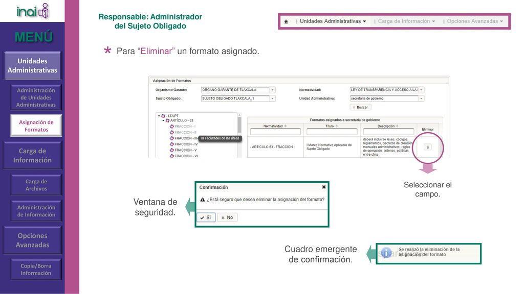 * MENÚ Para Eliminar un formato asignado. Ventana de seguridad.