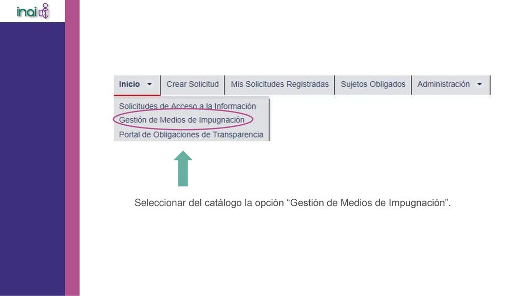 Seleccionar del catálogo la opción Gestión de Medios de Impugnación .