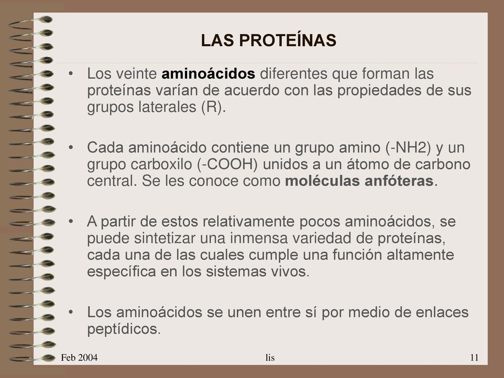 LAS PROTEÍNAS Los veinte aminoácidos diferentes que forman las proteínas varían de acuerdo con las propiedades de sus grupos laterales (R).