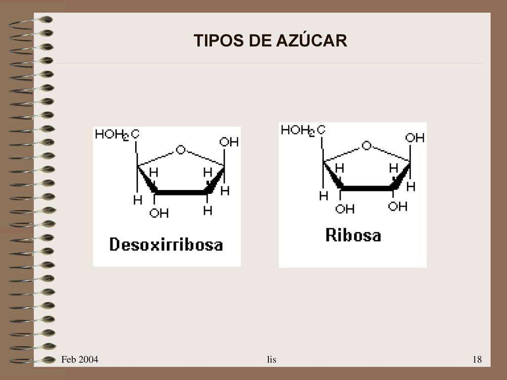TIPOS DE AZÚCAR Feb 2004 lis