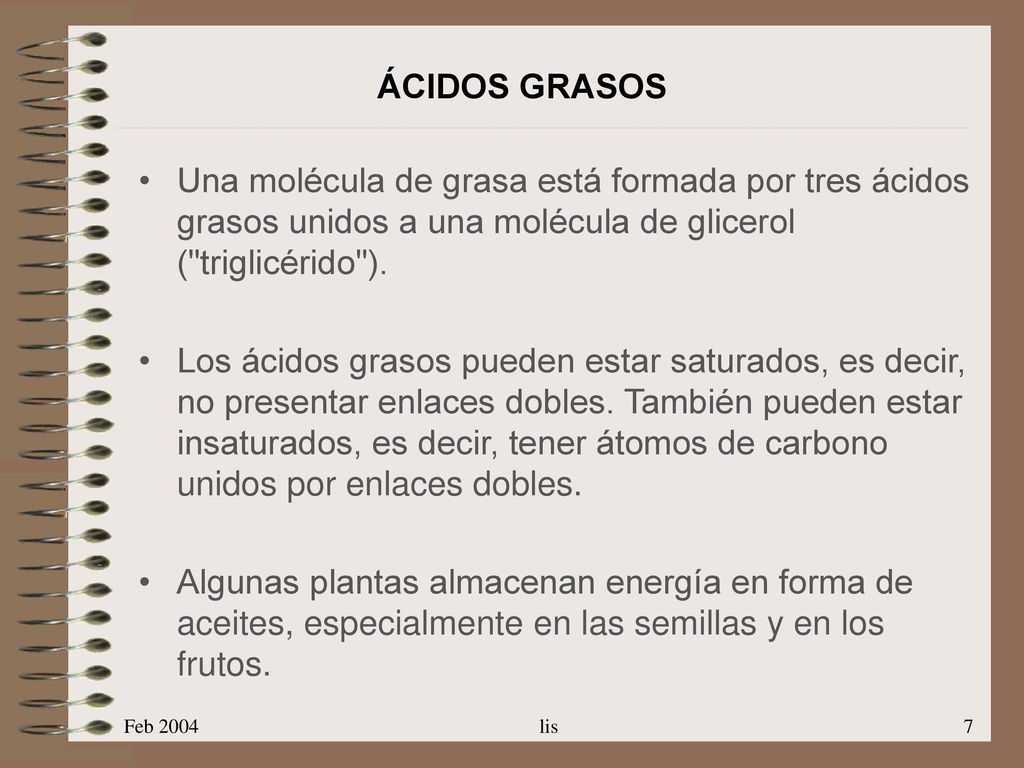 ÁCIDOS GRASOS Una molécula de grasa está formada por tres ácidos grasos unidos a una molécula de glicerol ( triglicérido ).