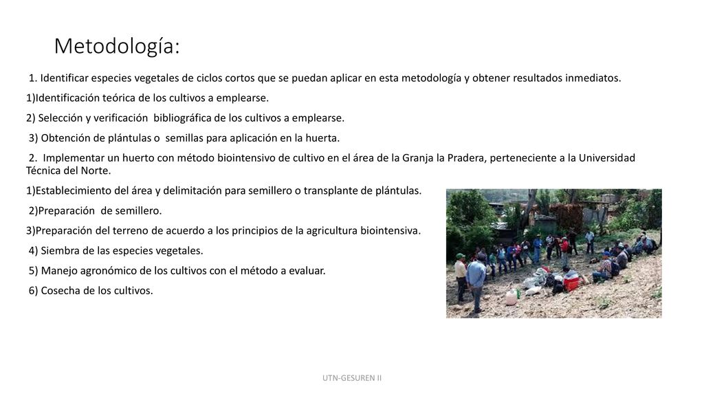 Metodología: 1. Identificar especies vegetales de ciclos cortos que se puedan aplicar en esta metodología y obtener resultados inmediatos.