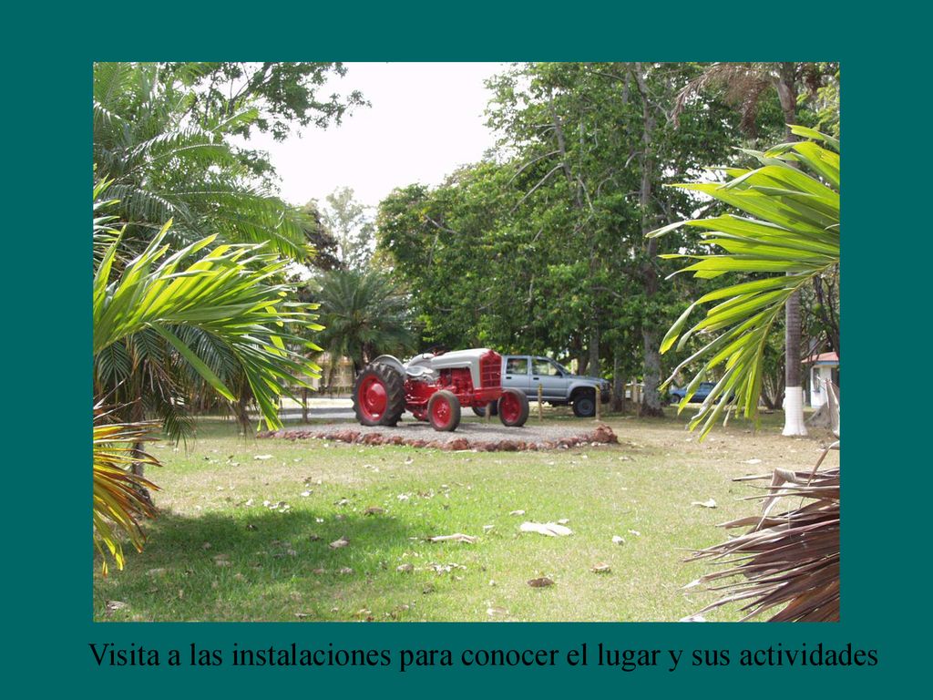 Visita a las instalaciones para conocer el lugar y sus actividades