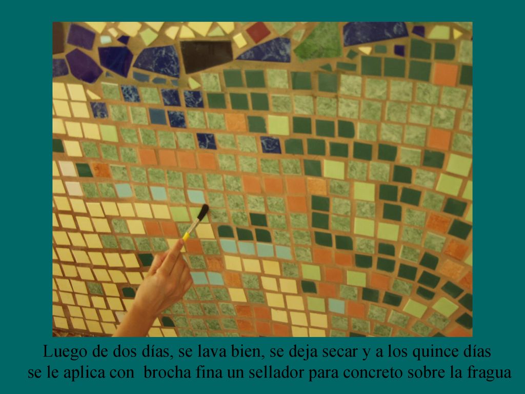 Luego de dos días, se lava bien, se deja secar y a los quince días
