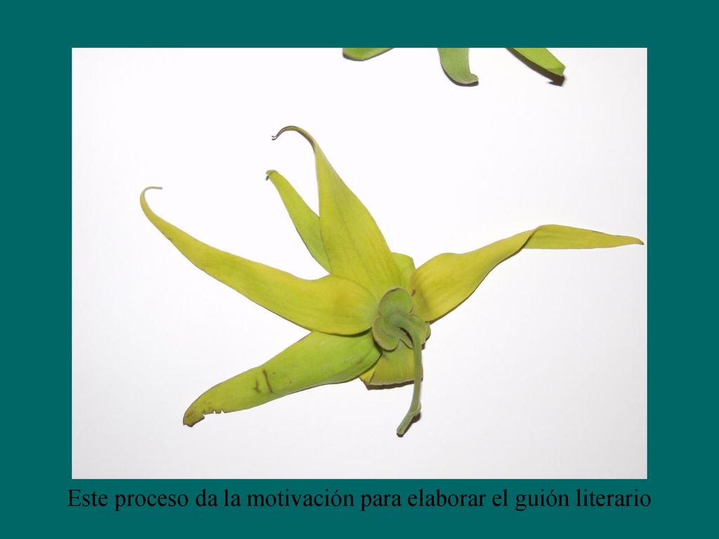 Este proceso da la motivación para elaborar el guión literario