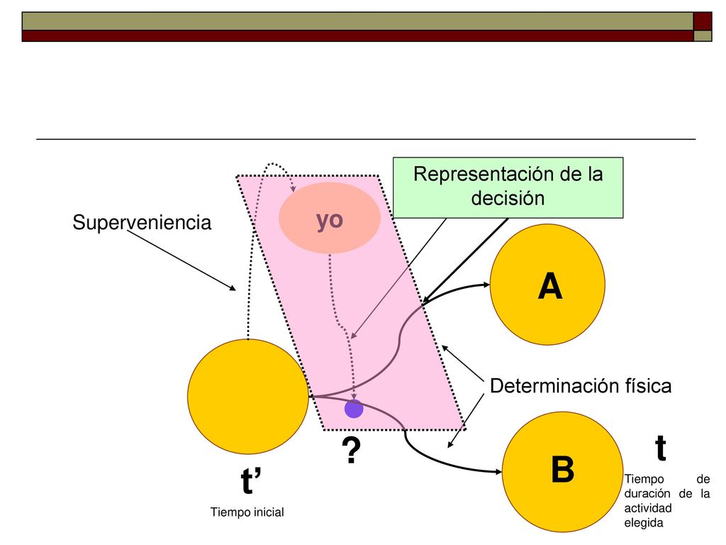 A t B t’ yo Representación de la decisión Determinación racional