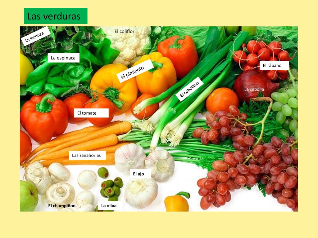 Las verduras El coliflor La espinaca el pimiento El rábano