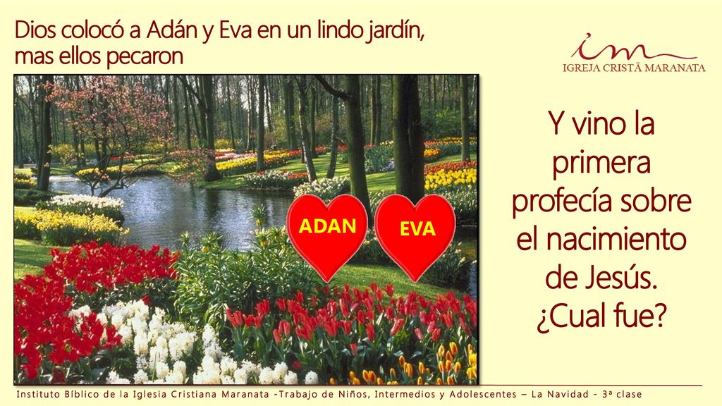 Dios colocó a Adán y Eva en un lindo jardín, mas ellos pecaron
