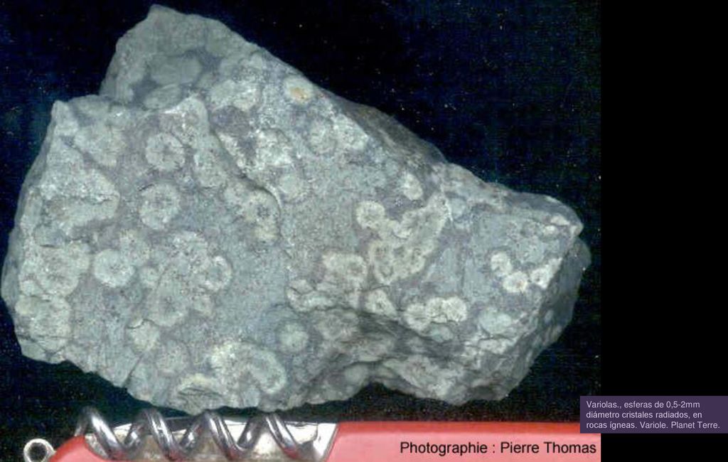 Variolas., esferas de 0,5-2mm diámetro cristales radiados, en rocas ígneas. Variole. Planet Terre.