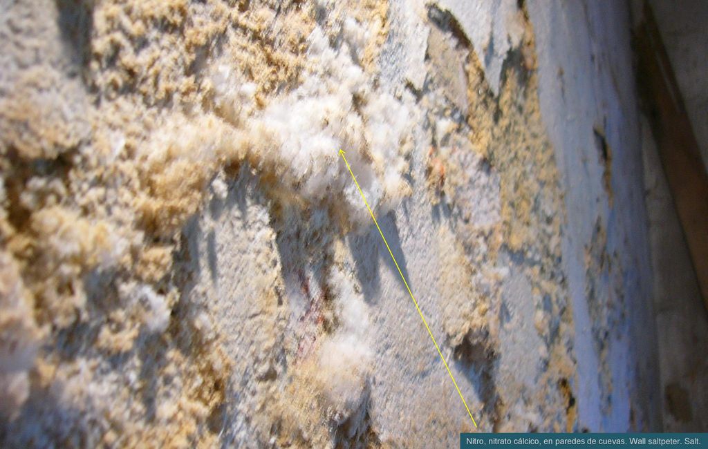Nitro, nitrato cálcico, en paredes de cuevas. Wall saltpeter. Salt.
