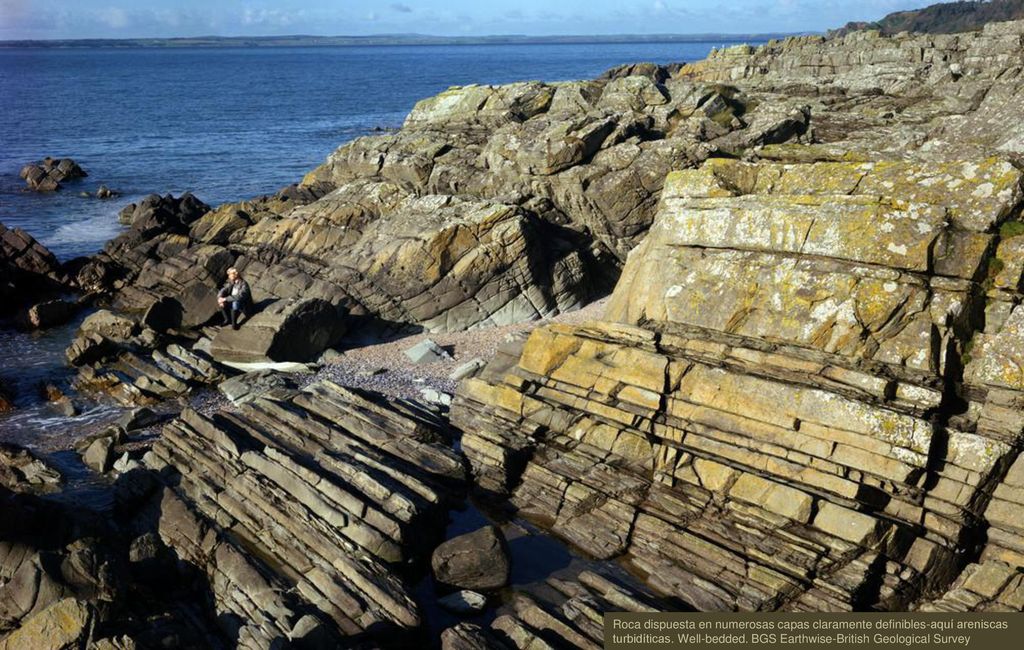 Roca dispuesta en numerosas capas claramente definibles-aquí areniscas turbidíticas. Well-bedded. BGS Earthwise-British Geological Survey