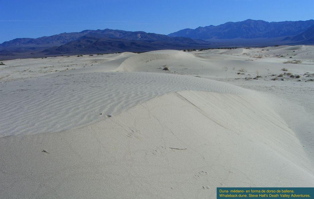 Duna- médano- en forma de dorso de ballena. Whaleback dune