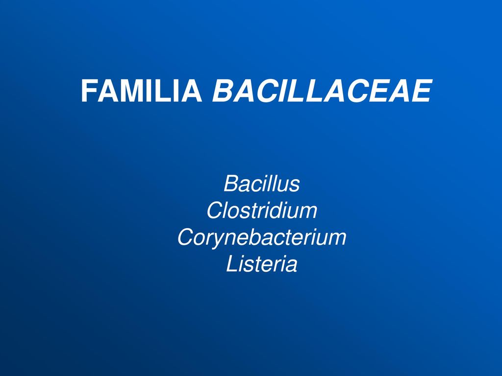 Bacillus Clostridium Corynebacterium Listeria