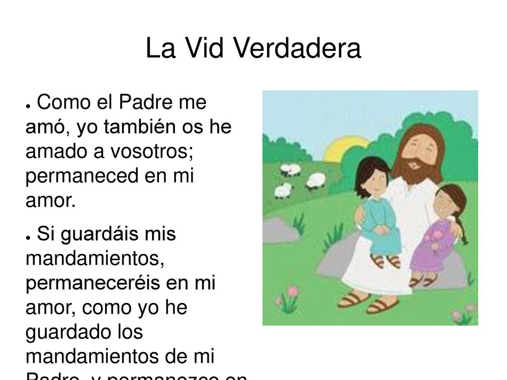 La Vid Verdadera Como el Padre me amó, yo también os he amado a vosotros; permaneced en mi amor.