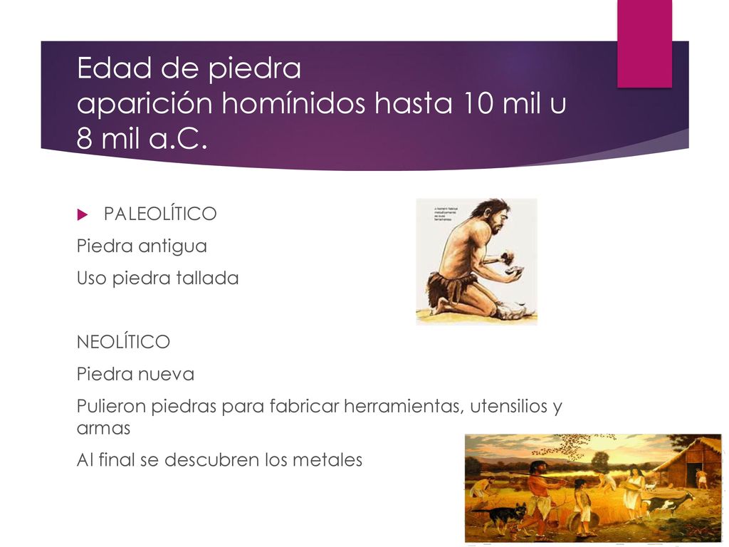 Edad de piedra aparición homínidos hasta 10 mil u 8 mil a.C.