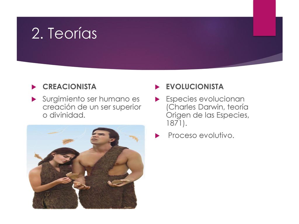 2. Teorías CREACIONISTA. Surgimiento ser humano es creación de un ser superior o divinidad. EVOLUCIONISTA.
